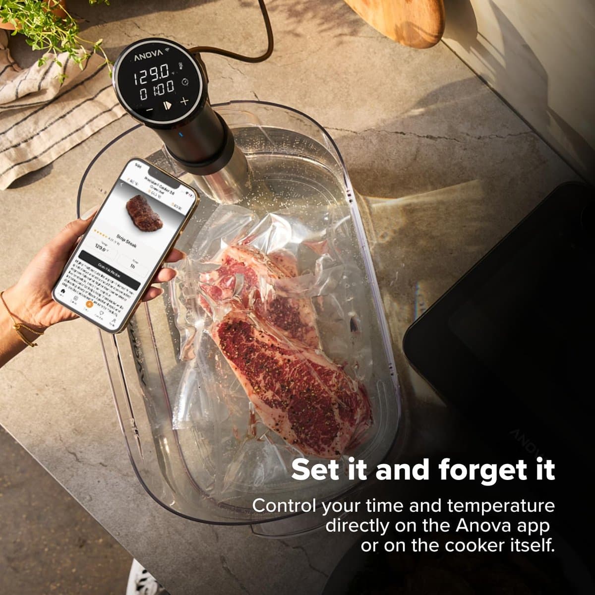 Anova Precision Cooker in water bath with smartphone control